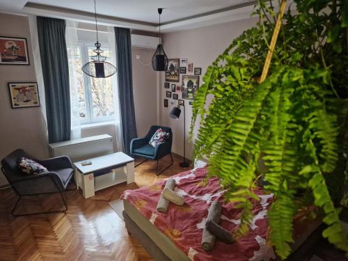 Apartman Sova Sombor – udoban apartman sa prijatnim detaljima i mirnim okruženjem pogodnim za odmor.