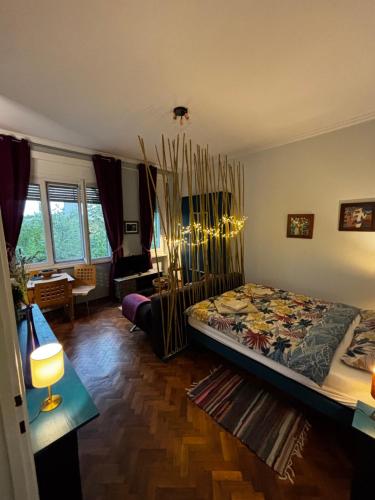 Central Studio Temišvar – komforan studio apartman u centru grada, savremeni sadržaj i povoljna pozicija