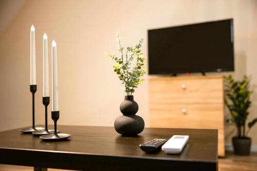 Urban Stay Loft Old Town 25 Temišvar – savremeni loft apartman u starom centru grada